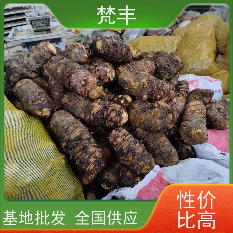 梵丰 大黄管理方法 手选大片原材料 在线接单 物流配送 
