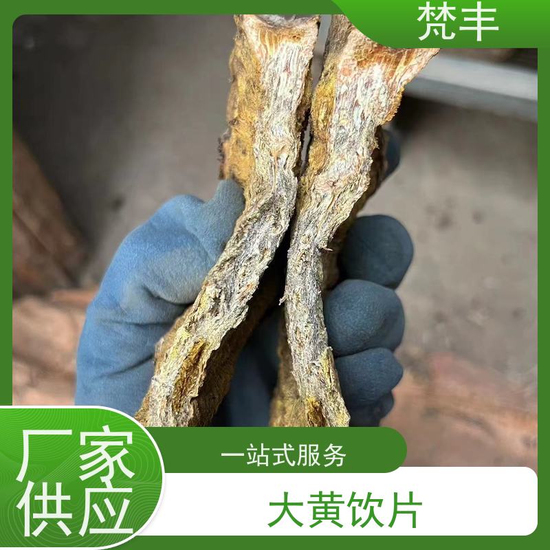 梵丰 大黄管理方法 中药材苗容易种活 在线接单 物流配送 