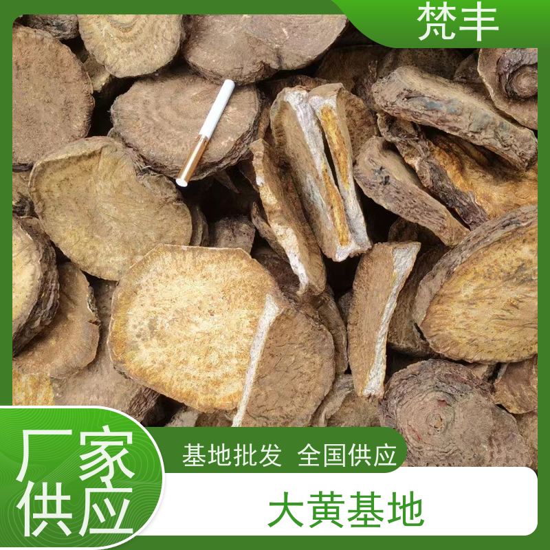 梵丰 大黄施肥 原产地 种植基地 库存充足 厂家供应