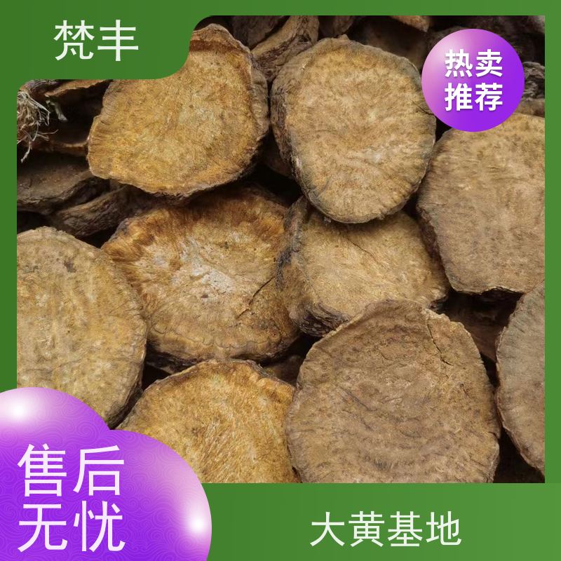 梵丰 大黄驯化种子 现挖 好种 易活活 长期供应 诚信经营