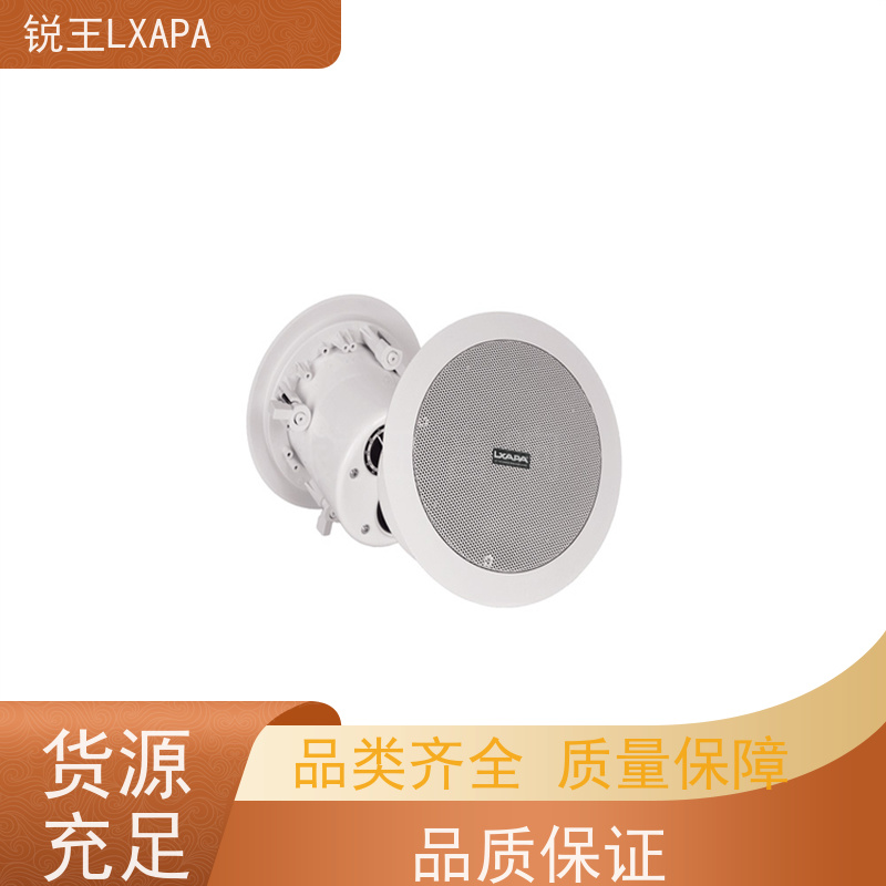 锐王LXAPA 舞台演出扩音 12寸线阵音箱 会议音柱功放 ktv音响设备