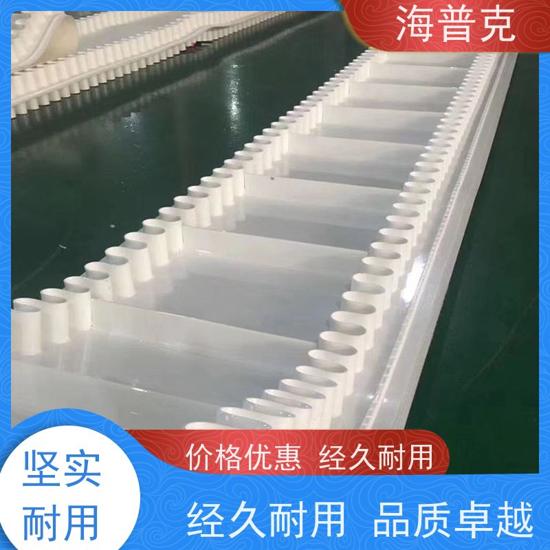 海普克 小型食品粮食 爬坡裙边输送带 厂家尺寸定制 阻燃性能好
