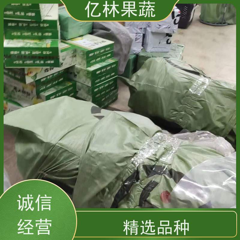 亿林苗木 秋彤桃 嫁接技术指导 抗寒能力强 根系饱满成活率高