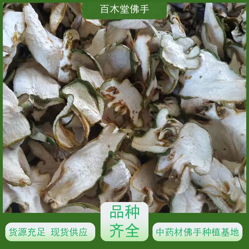 百木堂 广佛手 可作为盆景摆设 货源充足 种苗基地直供