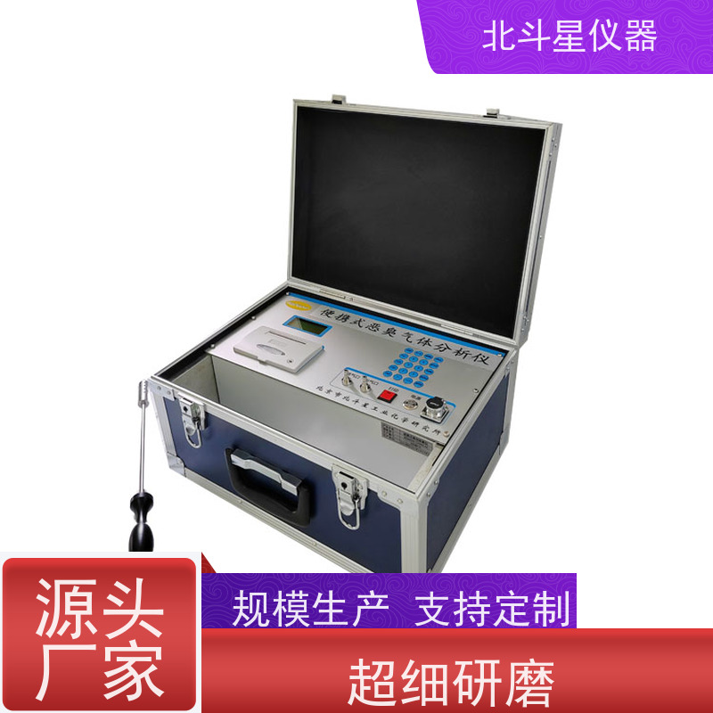 北斗星仪器 实时连续监测 恶臭检测仪 pAir2000-EFF