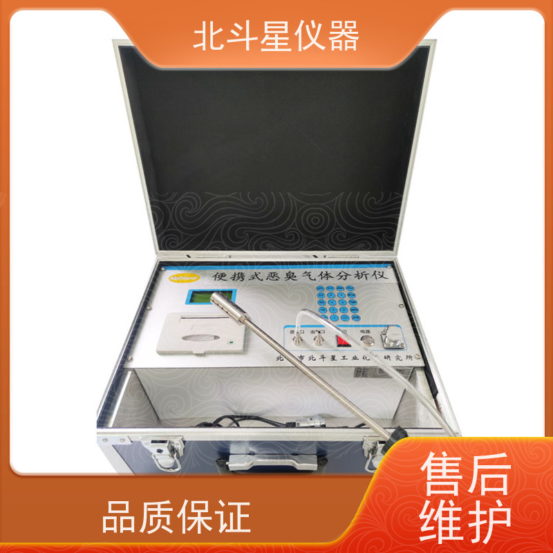 北斗星仪器城市大气环境巡检恶臭检测仪pAir2000-EFF 实时连续监测