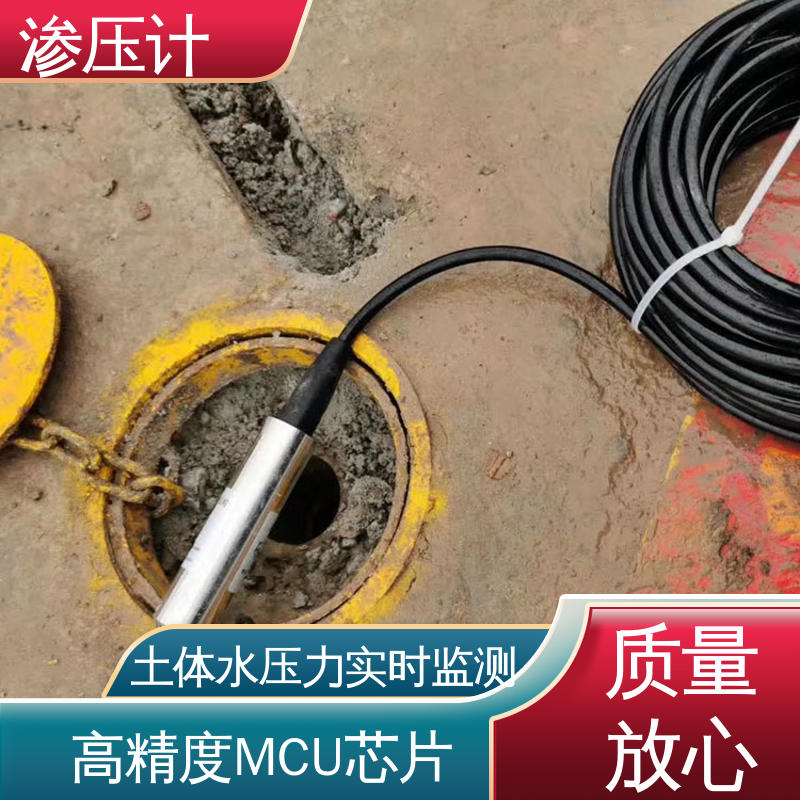 岩体内部渗透水压 水库水利大坝 硅压阻式渗压计 长期在线监测