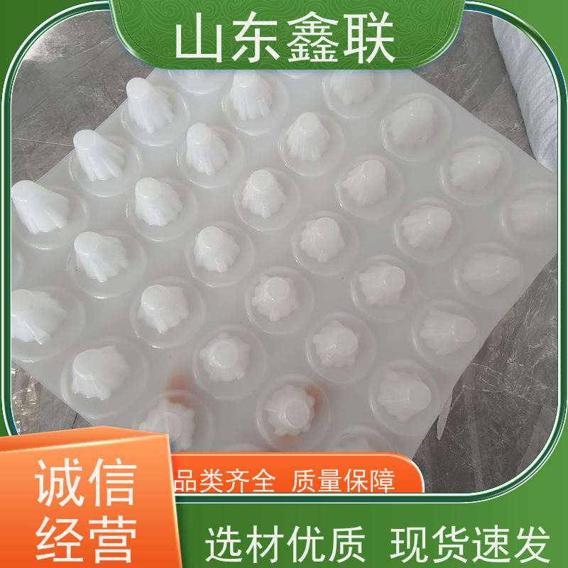 鑫联 50高黑色 塑料凸片排水层 10年大厂品牌 厚滤水板