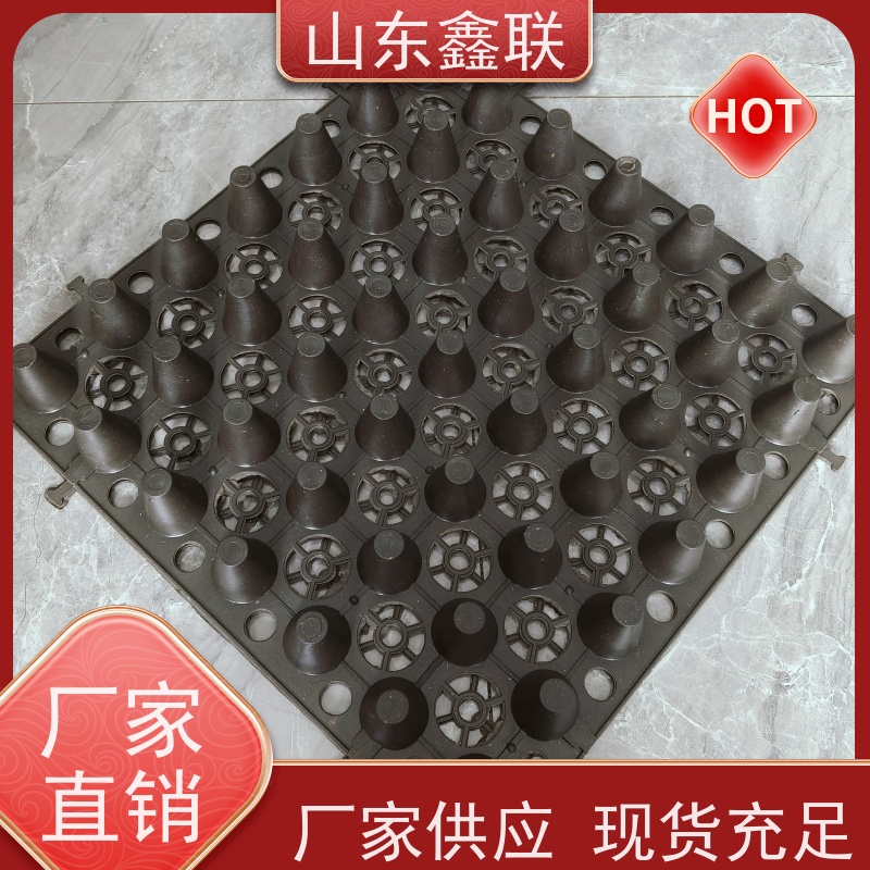 鑫联 20大杯口蓝色底板专用 塑料凸片排水层 厂家施工指导 厚滤水板