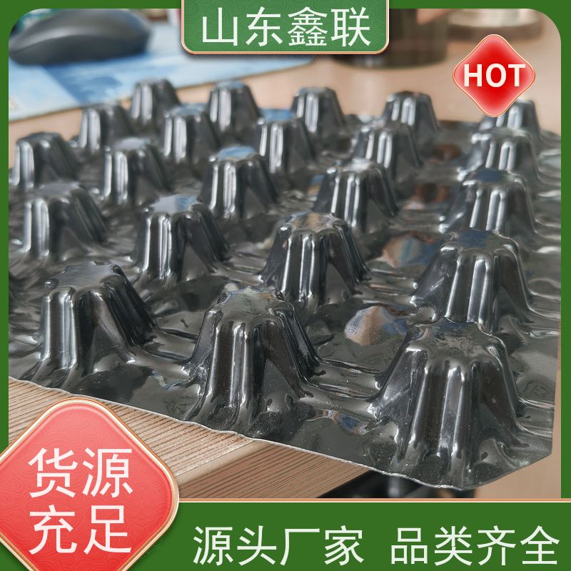 鑫联 25高卷材 塑料凸片排水层 屋顶花园绿化 聚乙 烯滤水板