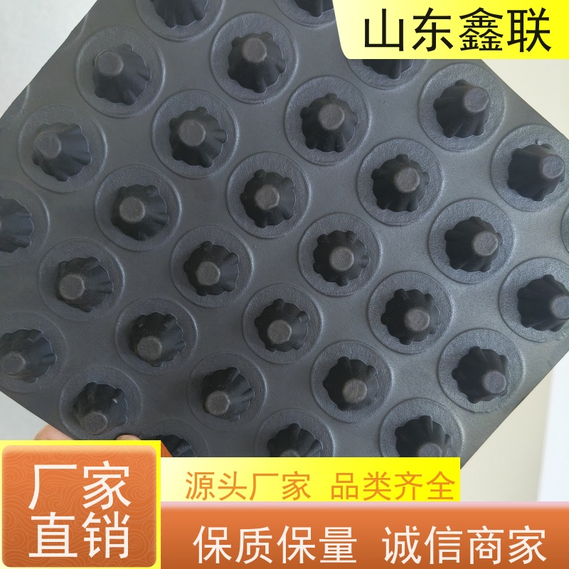 鑫联 1公分高 塑料凸片排水层 车库顶板专用 PE疏水板