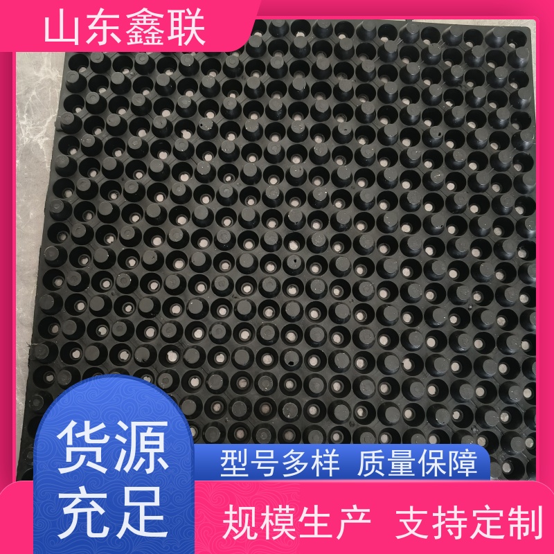 鑫联 40高3*10 塑料凸片排水层 大厂实力批发 PE疏水板