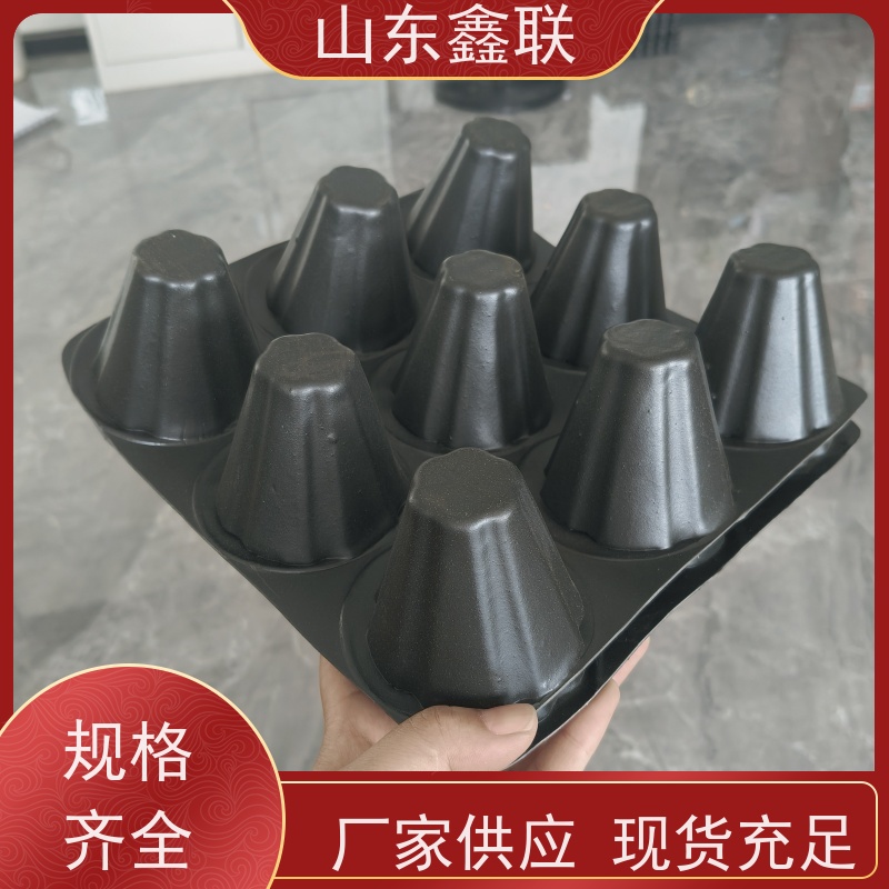鑫联 黑色国标料 塑料凸片排水层 车库顶板专用 聚乙 烯滤水板