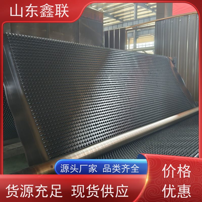 鑫联 25高卷材 塑料凸片排水层 百亩面积厂商 PE排蓄水板