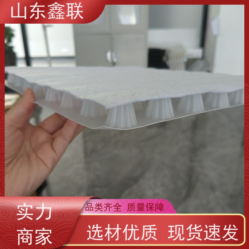 鑫联 白色全新料 塑料凸片排水层 严选自营 PE疏水板
