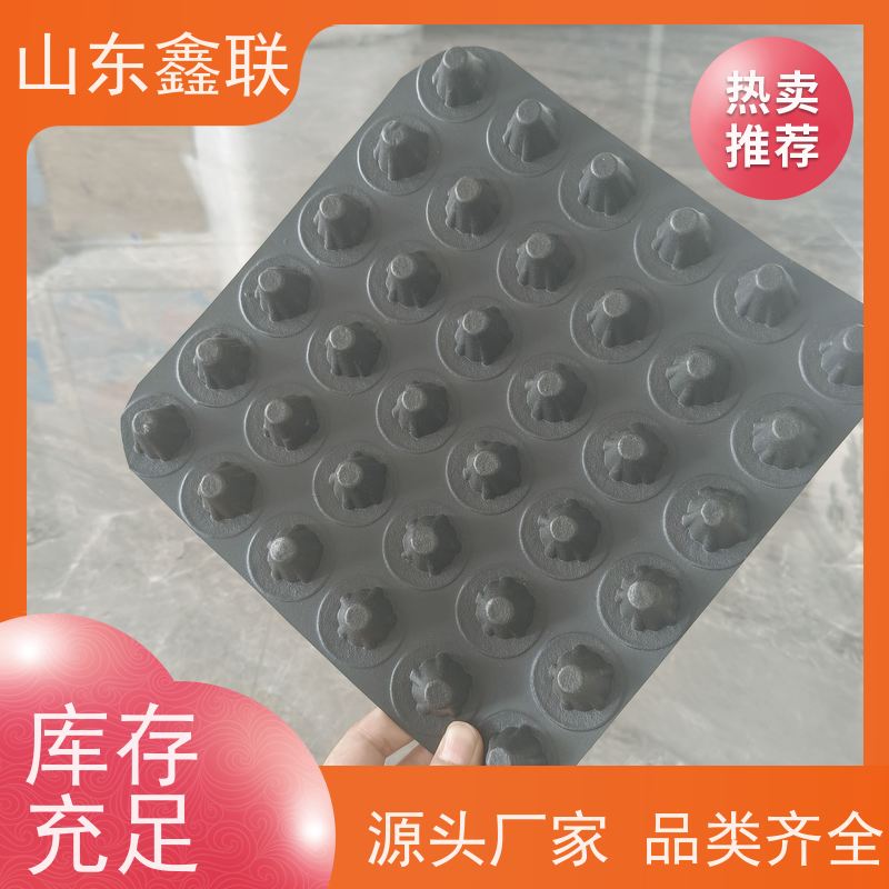 鑫联 40高3*10 塑料凸片排水层 车库顶板专用 厚滤水板
