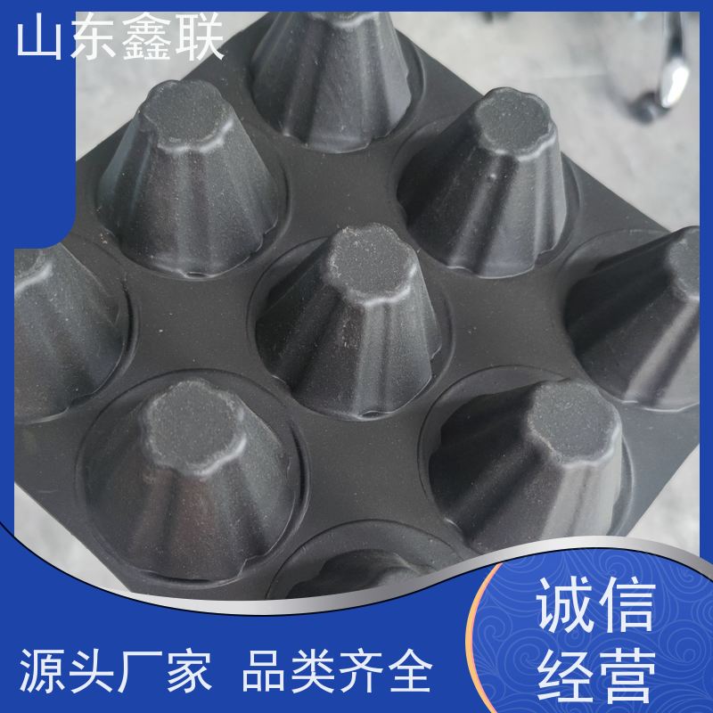 鑫联 25高卷材 塑料凸片排水层 科研创新 单面凸台式高抗冲击滤水板