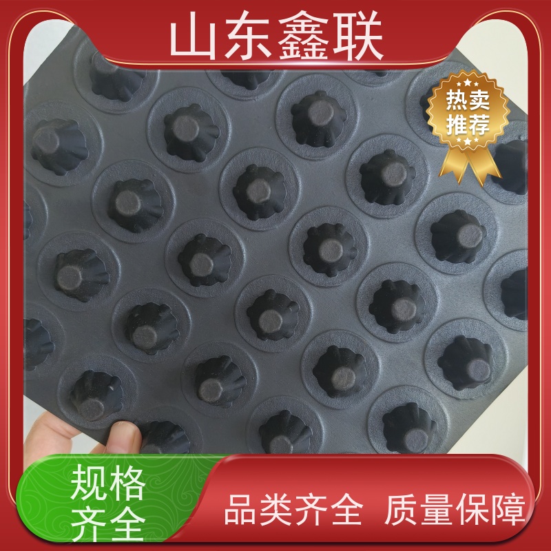 鑫联 25高卷材 塑料凸片排水层 车库顶板专用 PE疏水板