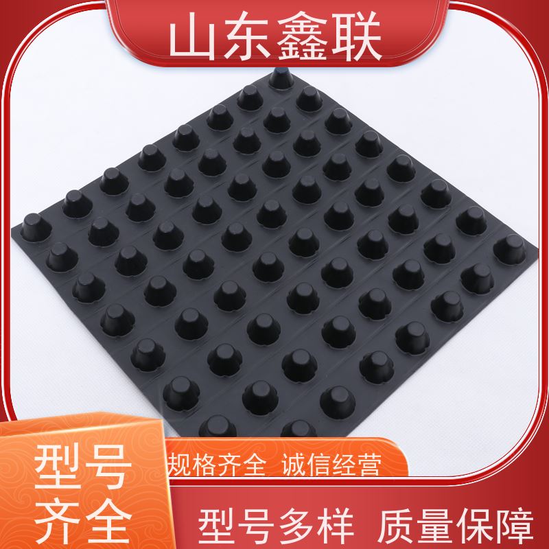鑫联 25高卷材 塑料凸片排水层 专注生产供应 厚滤水板
