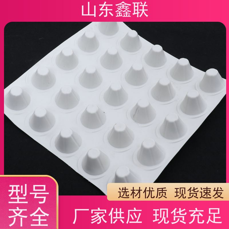 鑫联 2公分厚 塑料凸片排水层 厂家施工指导 聚乙 烯滤水板
