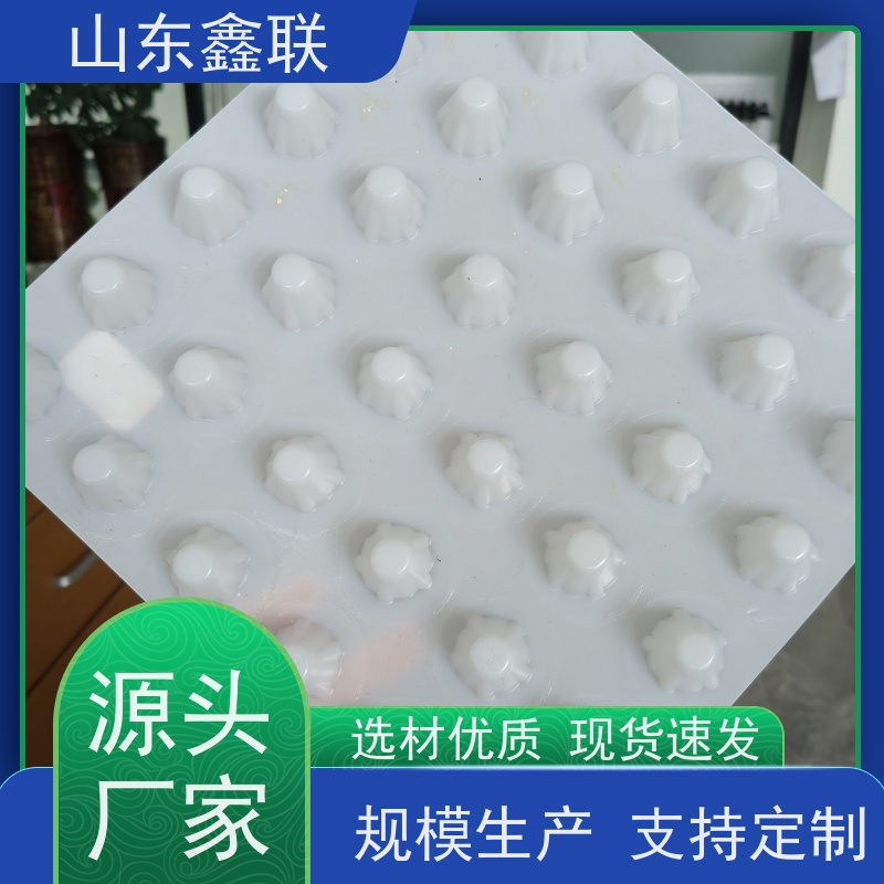 鑫联 1公分高 塑料凸片排水层 大厂实力批发 PE排蓄水板