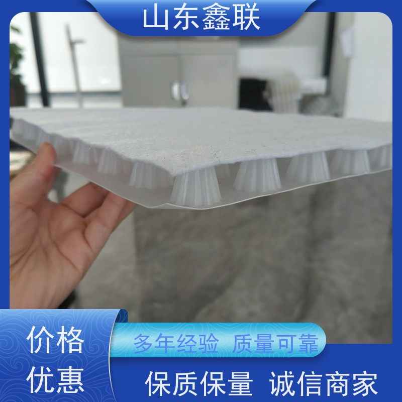 鑫联 黑色国标料 塑料凸片排水层 百亩面积厂商 聚乙 烯滤水板