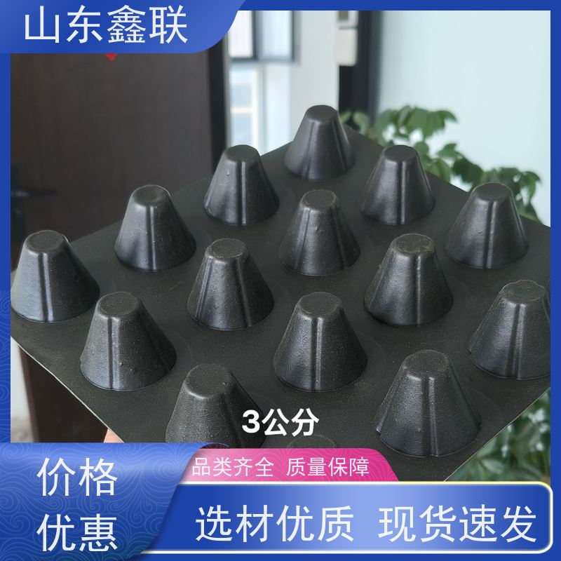 鑫联 50高黑色 塑料凸片排水层 屋顶花园绿化 聚乙 烯滤水板