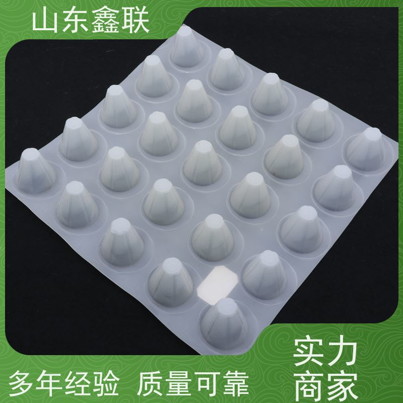鑫联 50高黑色 塑料凸片排水层 车库顶板专用 聚乙 烯滤水板