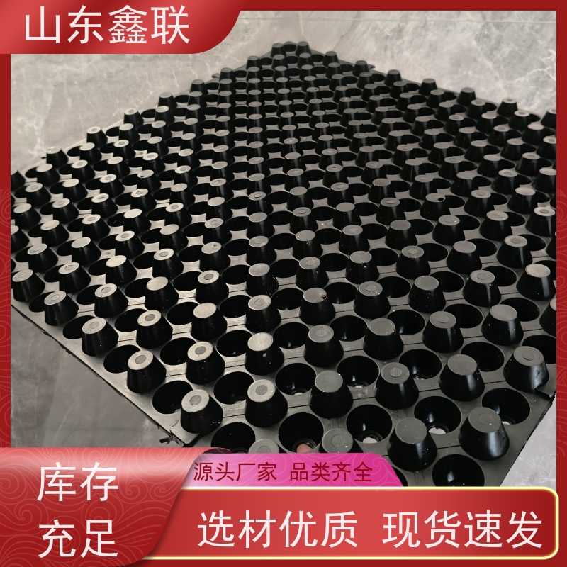 鑫联 6公分黑色 塑料凸片排水层 屋顶花园绿化 聚乙 烯滤水板