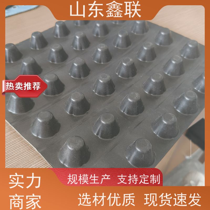 鑫联 1公分高 塑料凸片排水层 专注生产供应 PE疏水板