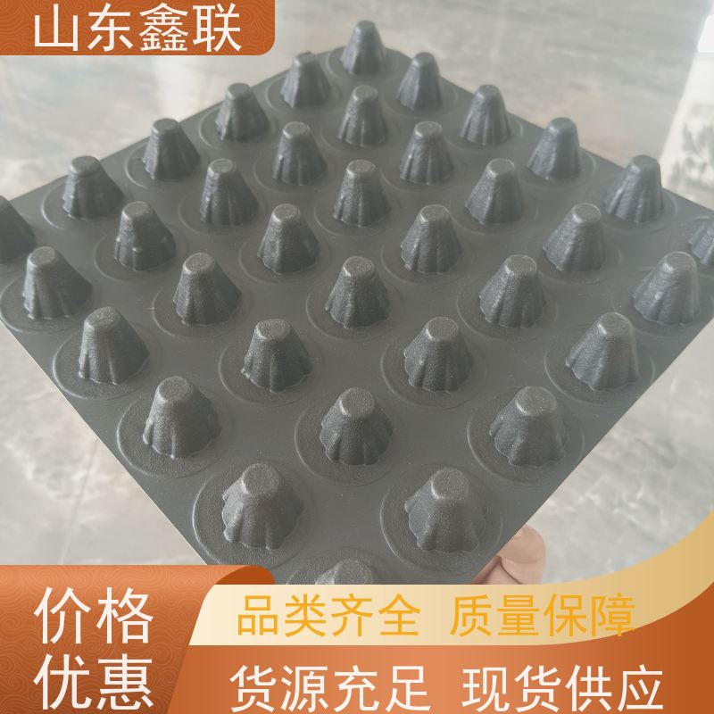 鑫联 黑色国标料 塑料凸片排水层 厂家施工指导 PE疏水板