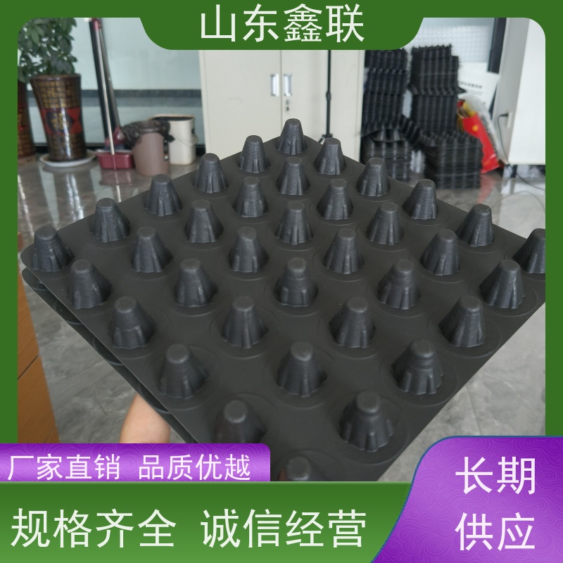 鑫联 2公分厚 塑料凸片排水层 屋顶花园绿化 厚滤水板