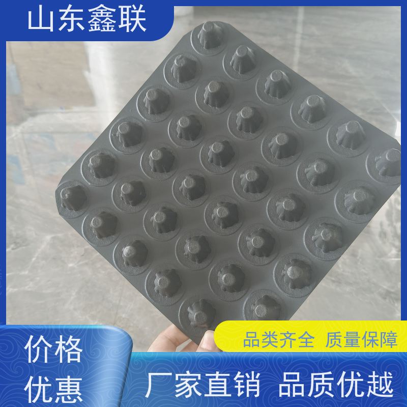 鑫联 14高复合一体 塑料凸片排水层 厂家施工指导 成品疏水板