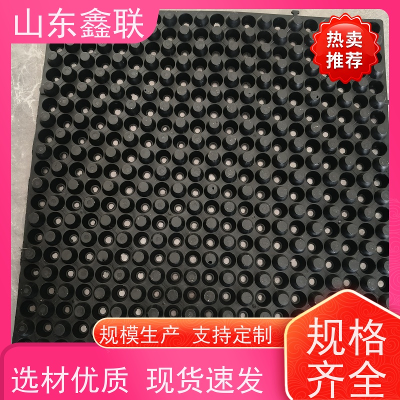 鑫联 14高复合一体 塑料凸片排水层 大厂实力批发 成品疏水板