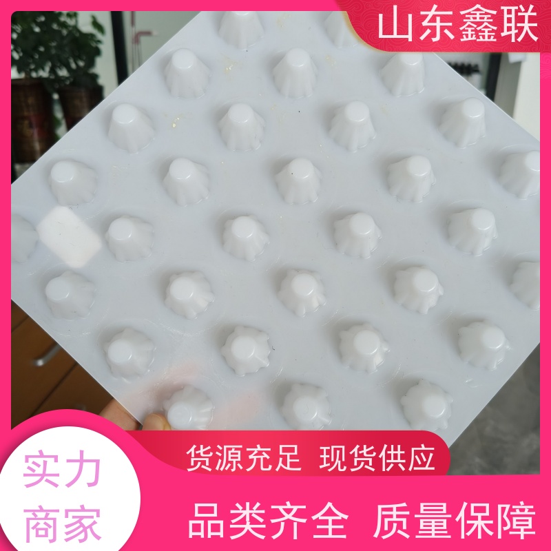 鑫联 1公分高 塑料凸片排水层 专注生产供应 成品疏水板