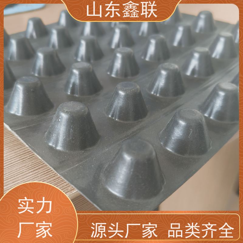 鑫联 爆卖百万平方 塑料凸片排水层 屋顶花园绿化 PE排蓄水板