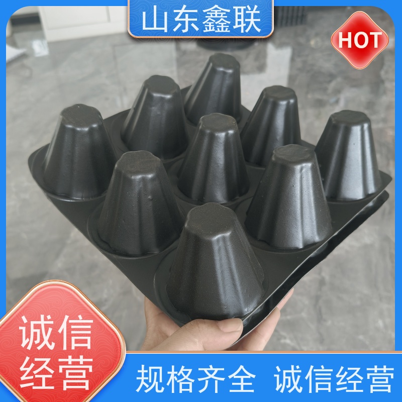 鑫联 14高复合一体 塑料凸片排水层 国检认证品质 PE排蓄水板