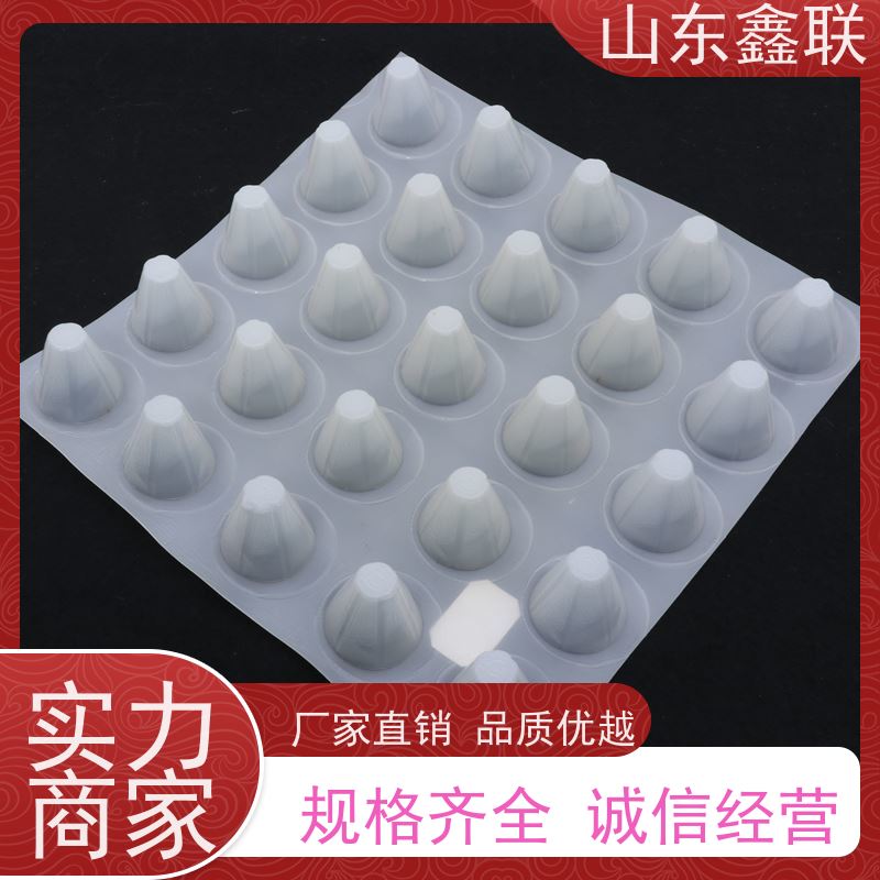 鑫联 25高卷材 塑料凸片排水层 10年大厂品牌 聚乙 烯滤水板