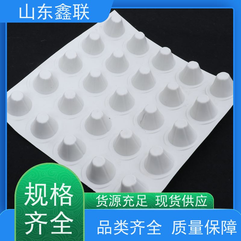 鑫联 1公分高 塑料凸片排水层 屋顶花园绿化 PE疏水板