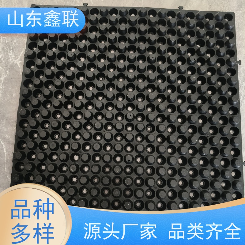 鑫联 6公分黑色 塑料凸片排水层 厂家施工指导 成品疏水板