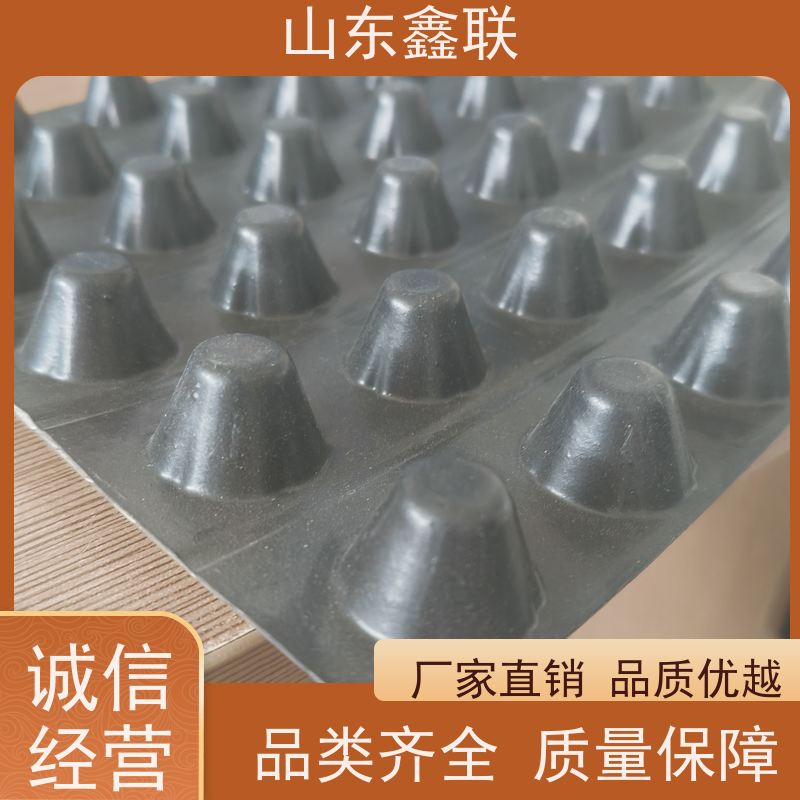 鑫联 3公分高 塑料凸片排水层 国检认证品质 聚乙 烯滤水板