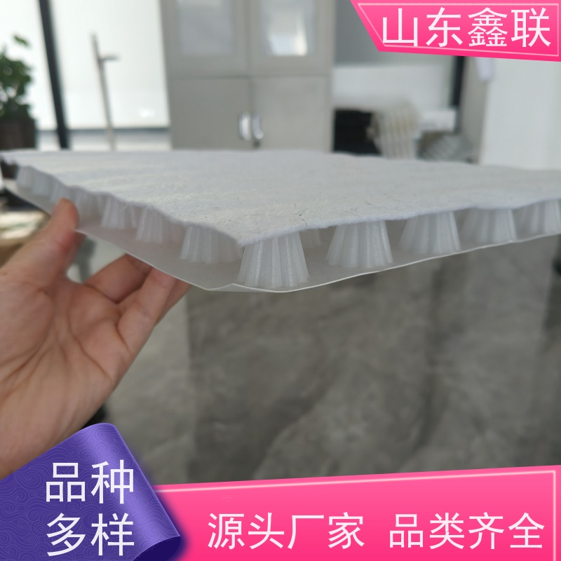 鑫联 16公分大杯口 塑料凸片排水层 专注生产供应 厚滤水板