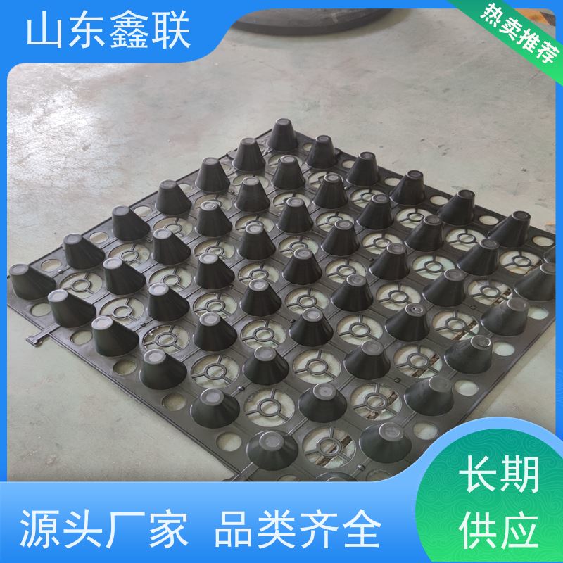 鑫联 1公分高 塑料凸片排水层 国检认证品质 聚乙 烯滤水板