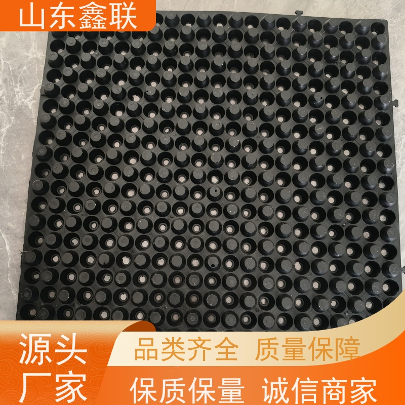 鑫联 2公分厚 塑料凸片排水层 国检认证品质 聚乙 烯滤水板
