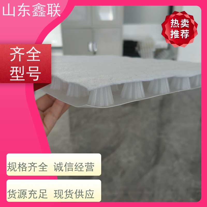 鑫联 白色全新料 塑料凸片排水层 专注生产供应 PE排蓄水板