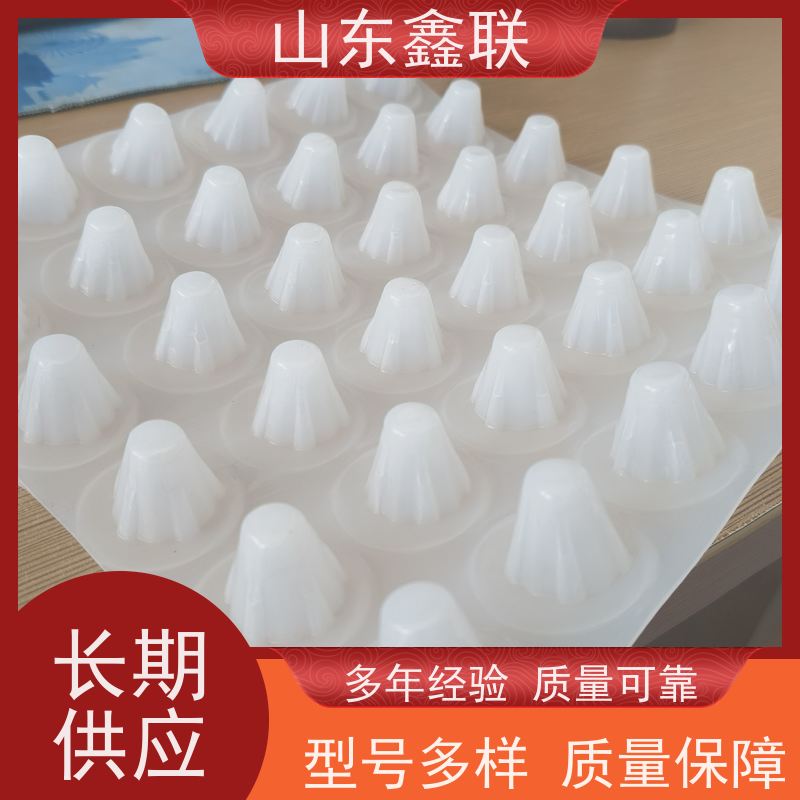 鑫联 黑色国标料 塑料凸片排水层 科研创新 厚滤水板