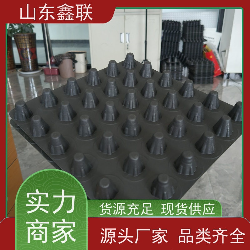 鑫联 爆卖百万平方 塑料凸片排水层 厂家施工指导 PE疏水板
