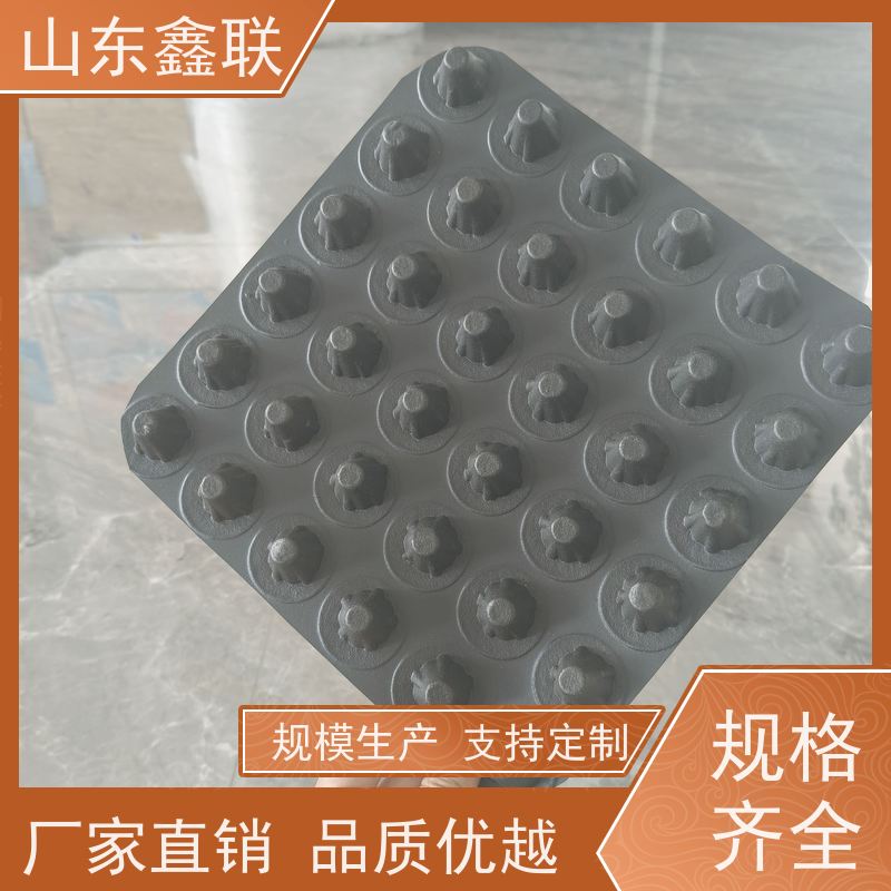 鑫联 14高复合一体 塑料凸片排水层 百亩面积厂商 成品疏水板
