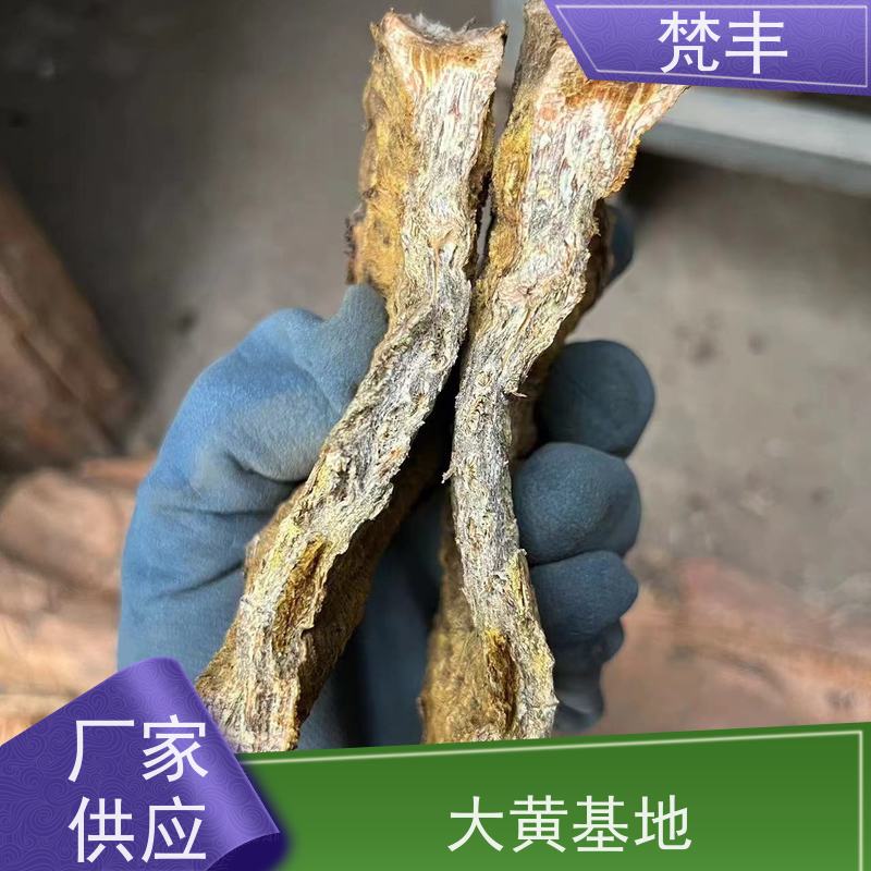 梵丰 大黄基地 各种规格支持过筛 在线接单 物流配送 