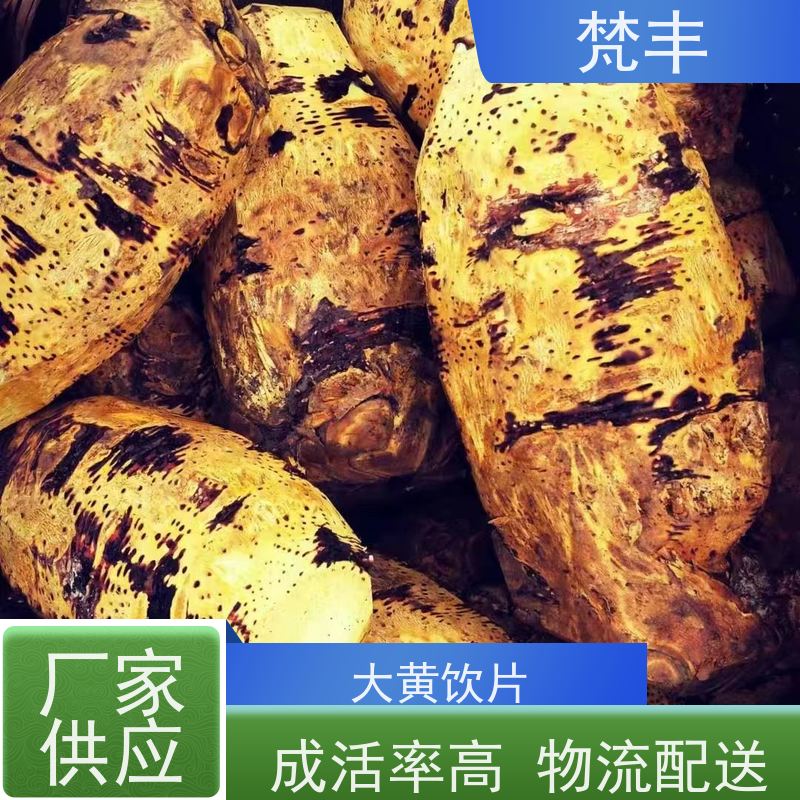 梵丰 大黄施肥 抗虫害全国发货 在线接单 物流配送 